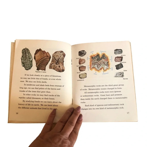 Vintage children’s text book “ Rocks and minerals “ a California series - Picture 8 of 8